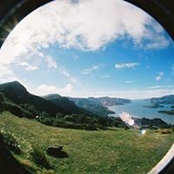 Tim McConnico's photo