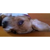 Craig Bailey's photo