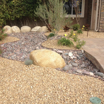 Apache Gold Desert Front Yard - Complete Transformation