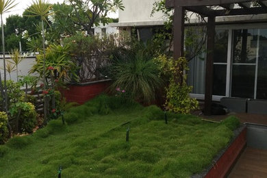 Terrace Gardening Basavangudi