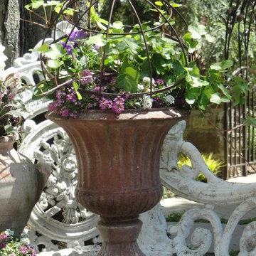 Container Gardens
