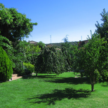 Colinas
