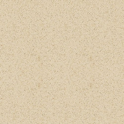 QUARTZ COUNTER TOP AND FLOOR - Products