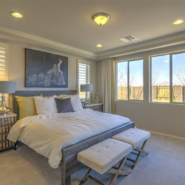 Ambition at Eastmark | Mesa, AZ | 3582 - Dream Plan