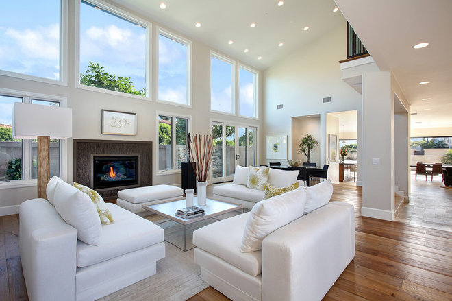 Transitional Living Room by Pinpoint Properties