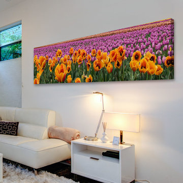 Tulip Explosion