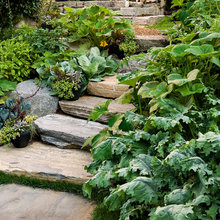 steps