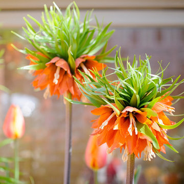 Spring Containers & Landscapes