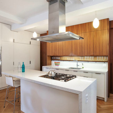 Brooklyn Prewar Apartment Renovation