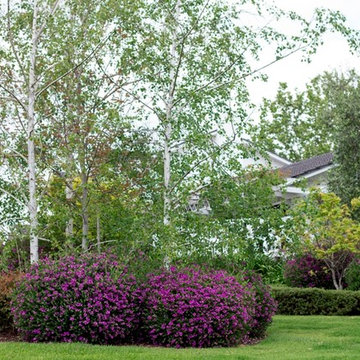 Wonga Park
