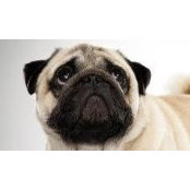 Luis Martinez's photo