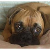 Stephanie Mohs's photo