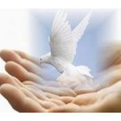 Maya Farra's photo