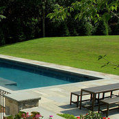 Foto de The Colony Weekly Pool Cleaners