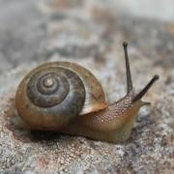 Carol Lisboa's photo