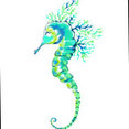 Coastal Life Design's profile photo