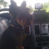 Pat Reilly's photo