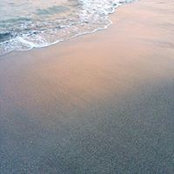 Mikiko Yatabe's photo