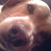 Leslie Vilardi's photo