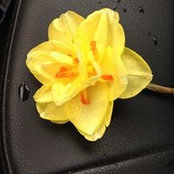 Connie McCullough's photo