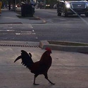 Manny Machin's photo