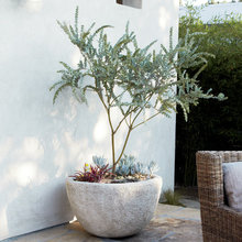 Container Ideas