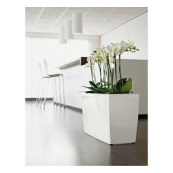 Cararo Premium 75  Lechuza - Home Decor