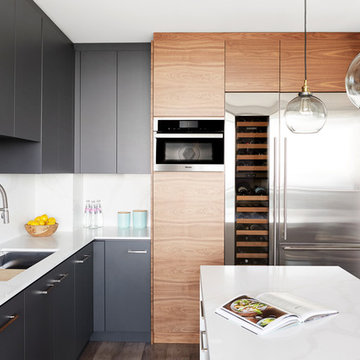 Downtown Toronto Modern Condo Kitchenkitch