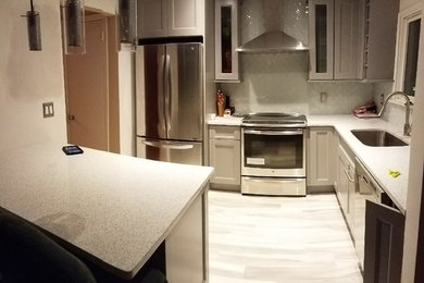Kitchen - contemporary kitchen idea in New York