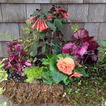 Garden Designs in Containers