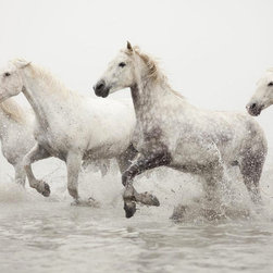 Landscapes/Nature - Photographs