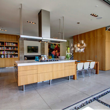 La Jolla Shores House
