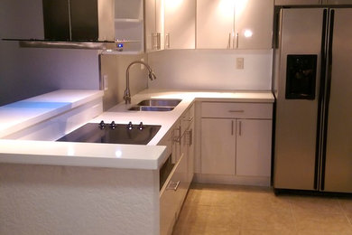 Mid-sized minimalist kitchen photo in Miami