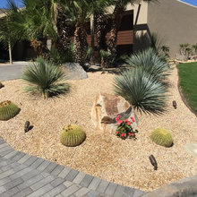 Desertscape