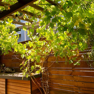 Redwood City Sustainable, Edibles and Whimsical