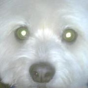 Janet Kearns's photo