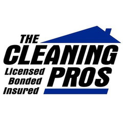 The Cleaning Pros