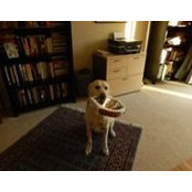 Brenda Goldstein's photo