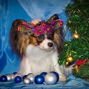 Foto von Анна Шубина