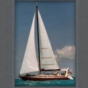 Pip Wicks foto