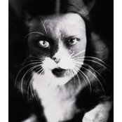 Chiara Caso's photo