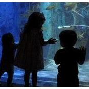 Tammy Rode's photo