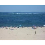 Lisa Strayer's photo