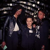 Negin Salamat's photo