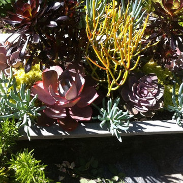 The Petal Planter