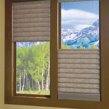 Bedroom Windows