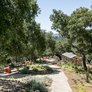 Las Ventanas Hillside Residence