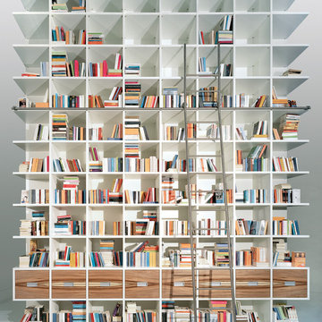 Library Ladders