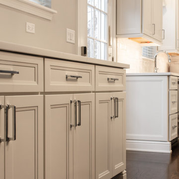 Timeless 1st Floor Redesign in Elgin