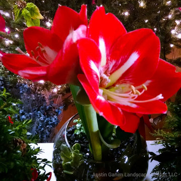 Interior Holiday Decor